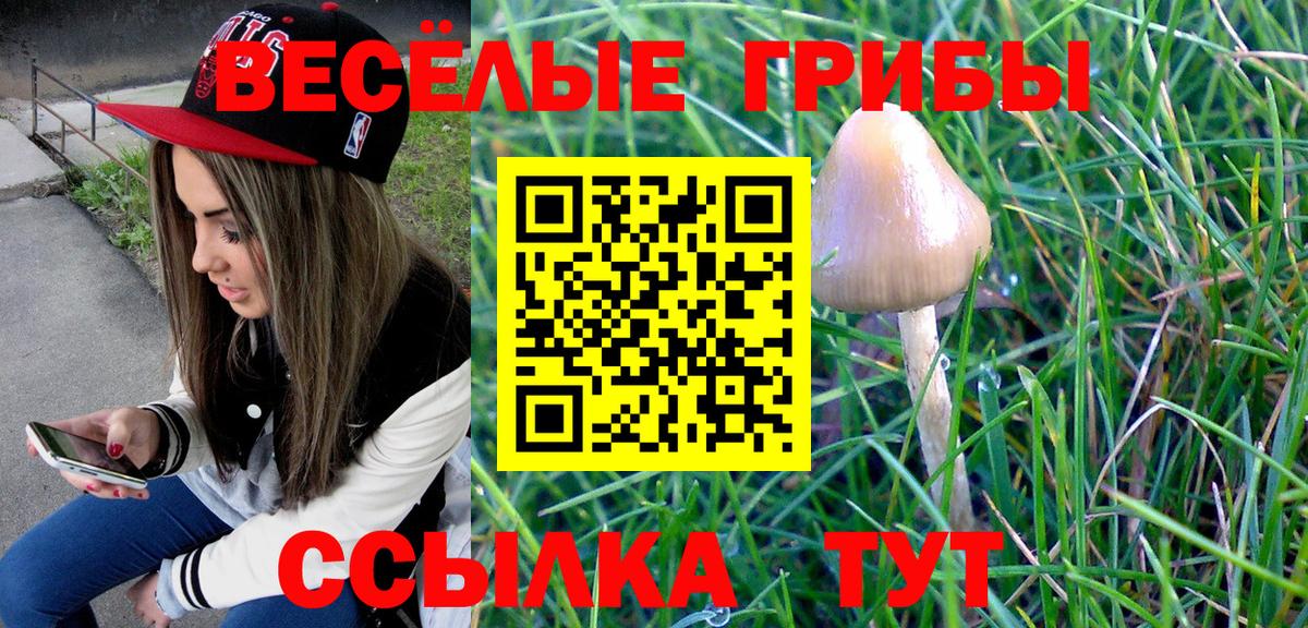 Псилоцибиновые грибы Psilocybine cubensis Дедовск